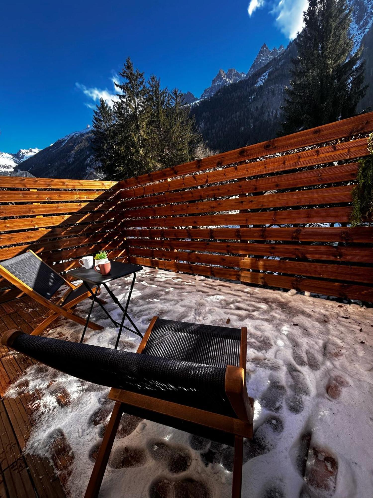Jonquille 2 - Centre - Terrasse Privee - Vues Chamonix